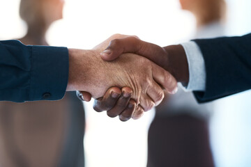 Business people, closeup handshake and agreement in office with human resources, support or welcome...