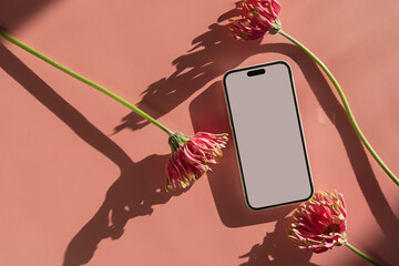 Mobile phone with blank clipping path screen, pink gerber flowers over bright salmon pink...