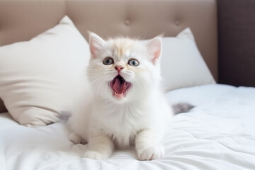 Fototapeta na wymiar A cute little fluffy white baby kitten yawning with her mouth wide open. Sleepy yawning long-haired kitten on white bed. Generative AI professional photo imitation.