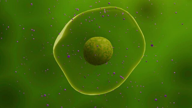 Embryonic stem cells floating in a liquid, ips cell treatment Animated human micro cell , close-up. Laboratory research or experiment microscopic view on organic molecular structure