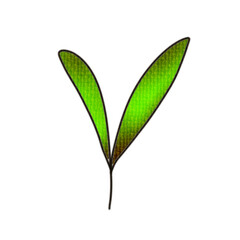 green leaf isolated on white