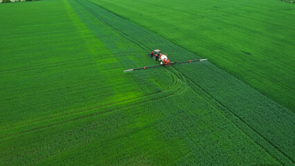 Aerial  view of tractor spraying pesticides on wheat  field with sprayer  in spring.