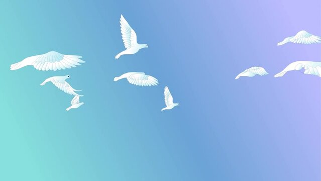 Seagulls flying animation 2d animated background, 