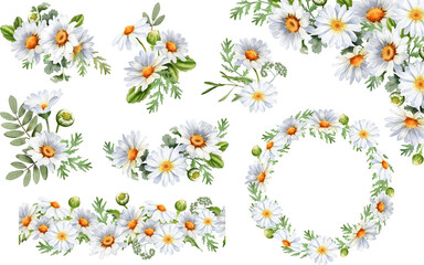 Watercolor Daisy flower clipart. Chamomile floral border, bouquets, wreath. Wildflowers for wedding invitations and greeting cards. Watercolour illustration. Rustic flower