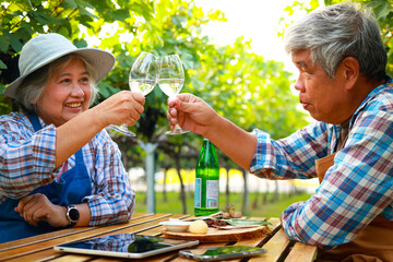 An elderly couple working on a farm producing grape wine. Sitting at a wooden table in the vineyard...