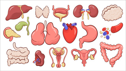 Set of isolated icons with  different human internal organs cartoon style