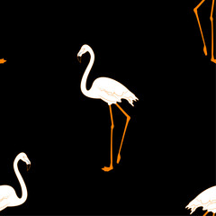 Patrón de flamencos en blanco, naranja y negro