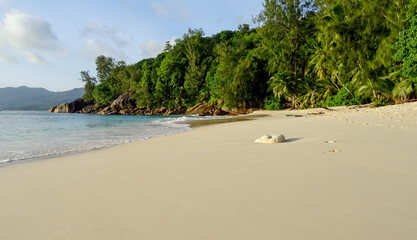 Plage des Seychelles