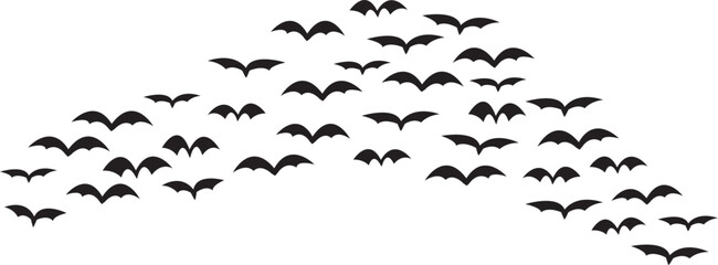 silhouettes of birds