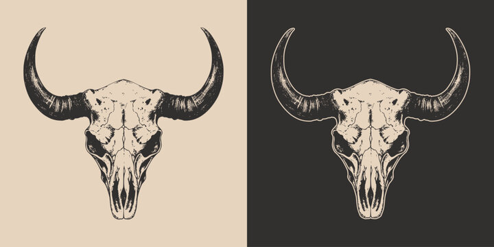 Set of vintage retro scary spooky cow bull skull head skeleton. Cowboy Native American. Can be used like emblem, logo. Monochrome Graphic Art. Vector. Hand drawn element in engraving