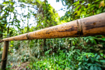 A water feature where a stream let of water flows out of one bamboo pole into another.