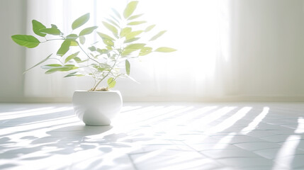 Minimalistic Light White Interior with Green Plant in a Pot on Floor Against Sunny Window. AI generative. Bright Tones.