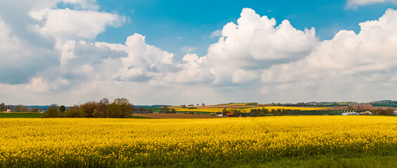 Spring view with yellow canola fields near Denkendorf, Bavaria, Germany