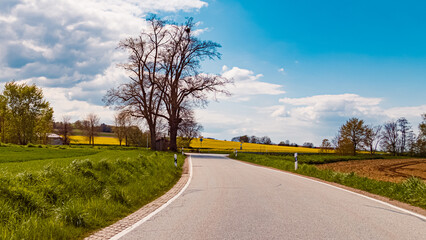 Fototapeta premium Spring view with yellow canola fields near Wallerfing, Deggendorf, Bavaria, Germany