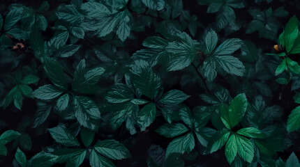 Group background of dark green tropical leaves background. concept of nature. Generative AI
