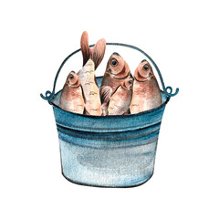 bucket of caught carp painted in watercolor isolated hand-drawn © Sviatlana