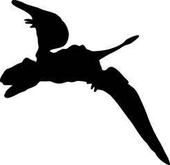 Flying Pterodactyl Silhouette © The Digital Files
