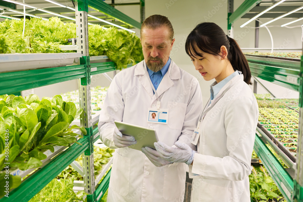 Poster two intercultural scientists looking at tablet screen in vertical farm during presentation or discus