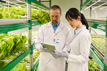 Two intercultural scientists looking at tablet screen in vertical farm during presentation or...