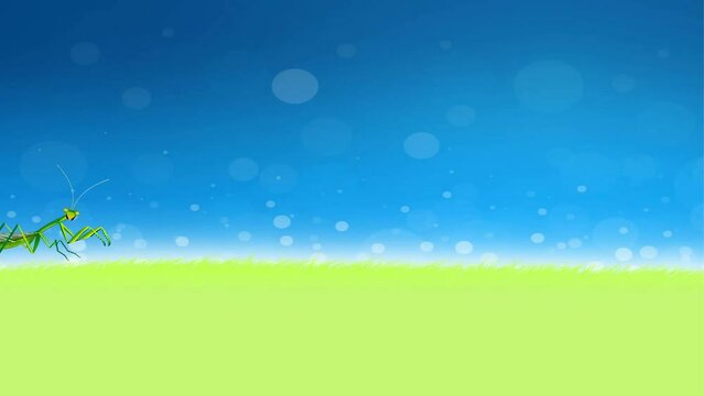 Grasshopper animation 2d animated background, insect
