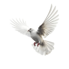 A free flying white dove isolated on transparent background - Generative AI - obrazy, fototapety, plakaty