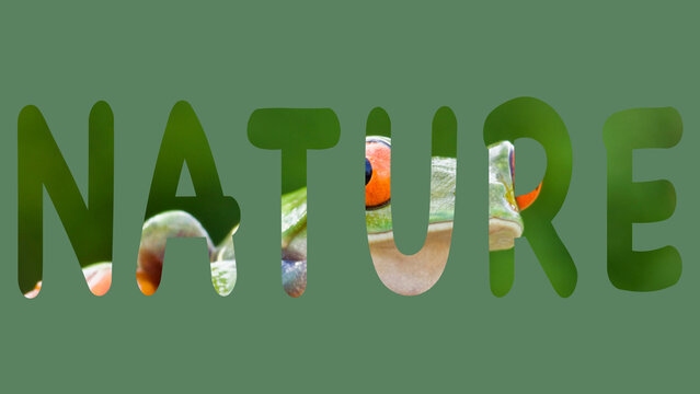 Text Cut Out Overlay