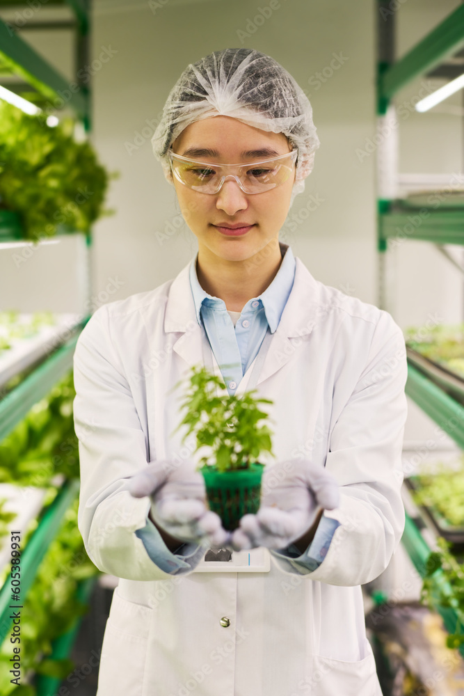 Aufkleber young asian female scientist in lab coat looking at green seedling in her gloved hands while standin