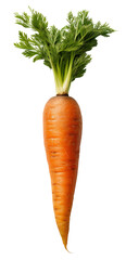 One rustic carrot close-up. Isolated on a transparent background. KI. - obrazy, fototapety, plakaty