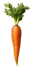 Fotobehang One rustic carrot close-up. Isolated on a transparent background. KI. © Honey Bear