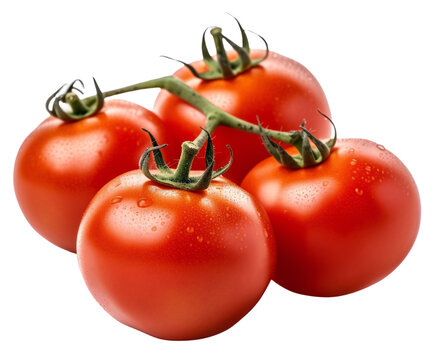 Four tomatoes on a branch. Ripe, red, rustic tomatoes. Isolated on a transparent background. KI.