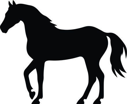 Horse Logo Monochrome Design Style
