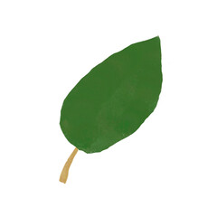 Leaf