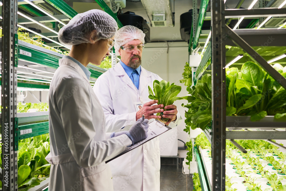 Poster side view of two intercultural scientists studying new sorts of spinach while young female researche