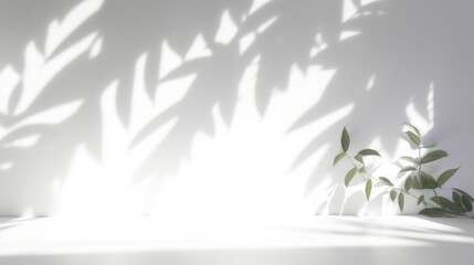 Blurred shadow from leaves plants on the white wall. Minimal abstract background for product presentation. Spring and summer