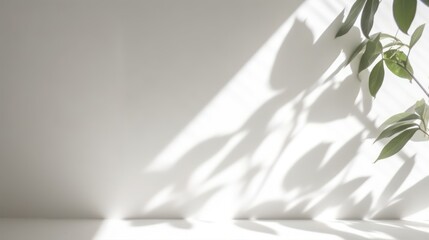 Blurred shadow from leaves plants on the white wall. Minimal abstract background for product presentation. Spring and summer