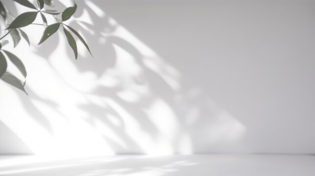 Blurred shadow from leaves plants on the white wall. Minimal abstract background for product presentation. Spring and summer