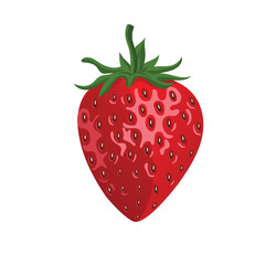 Fresh strawberry fruits vector illustration