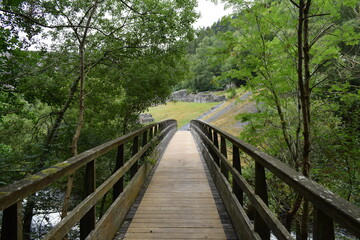 Fototapeta na wymiar wooden bridge over the river in wales