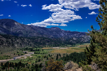 Highway 395 Red Lake Leavitt Meadow
