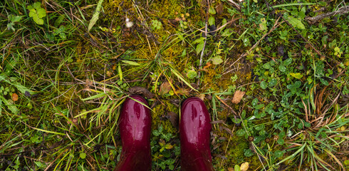 Purple boots in the swamp in the forest