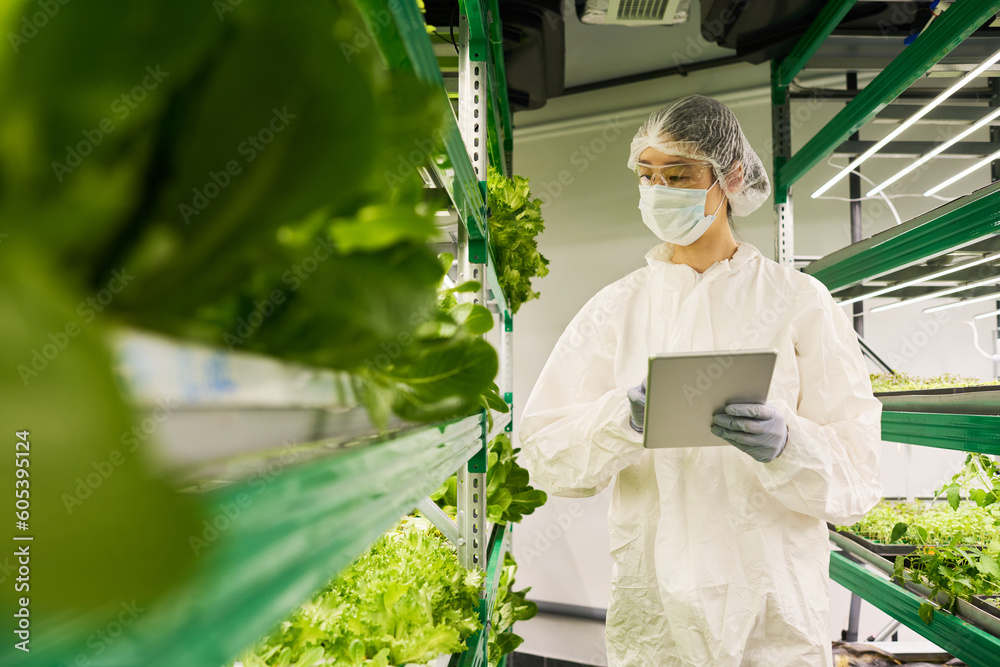 Poster young female agro engineer in coveralls and protective mask using tablet while searching for online 