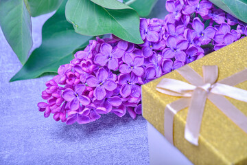 Sprig of blooming lilac and gift box with bow.Concept of spring gift.