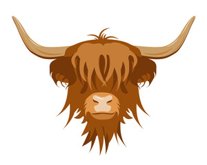 Portrait of Highland cattle, cow. Cute head of Scottish cattle isolated&nbsp;on white background.&nbsp;Design element for logo, poster, card, banner, emblem, t shirt. Vector illustration.