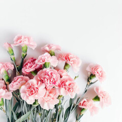 Enchanting Pink and White Flowers Dancing on a Pink Backdrop, Generative AI