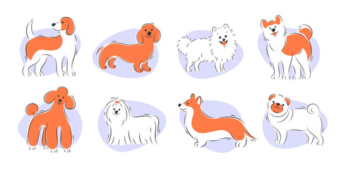 Set of different purebred dogs. Canine animals, diverse big and little cute doggies. Vector illustration.