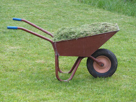 Taczka Bilder Durchsuchen 134 Archivfotos, und Videos