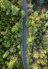 Drone shot of a straight road from above surrounded by trees with a motorcycle driving on it