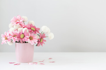 white and pink  chrysanthemums in pink vase on white background