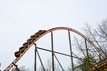 Roller coaster with wagon