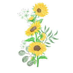 Watercolor sunflower and eucalyptus leaves bouquet. Yellow flowers for rustic wedding design, thanksgiving decoration, fabric, greeting cards, ets. Isolated on white background
